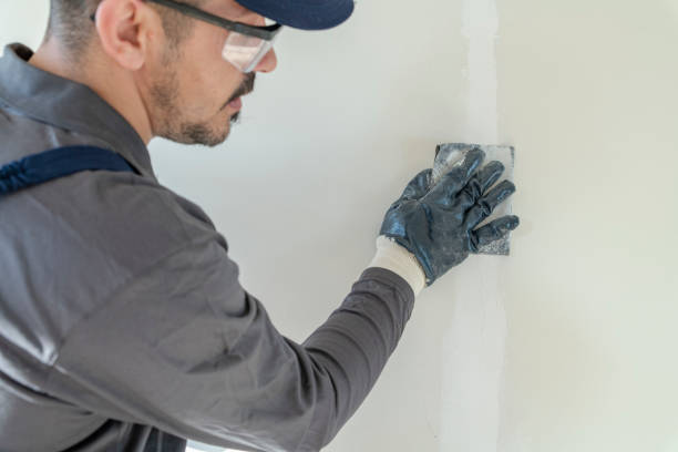 Best Drywall Removal and Disposal  in Bolingbrook, IL